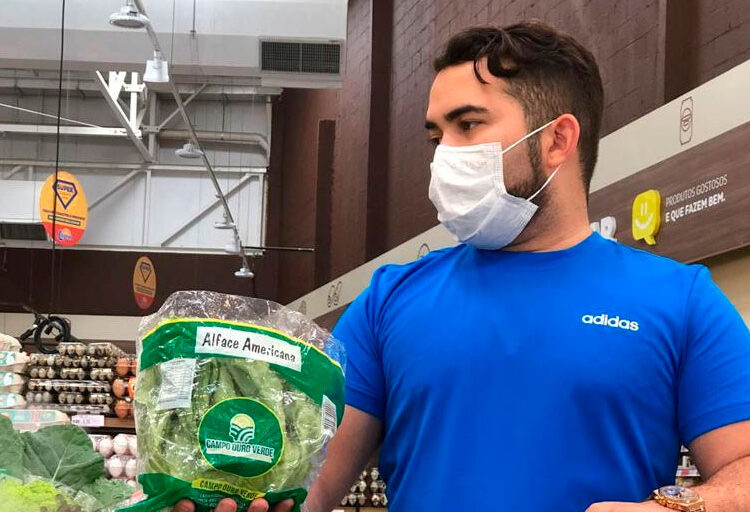 Campo Ouro Verde registra alta procura por coentro, cebolinha e alface crespa nos mercados de Fortaleza
