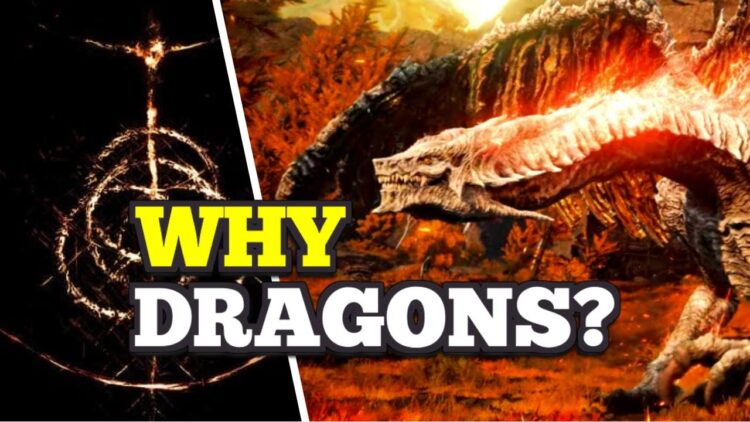 Guide to Defeat All of the Dragons Faster & Easier in Elden Ring