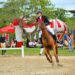 Construtora Brasterra é patrocinadora da Copa Siel Camará de hipismo