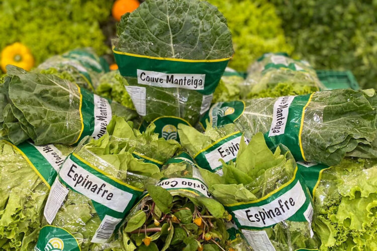 Verduras verde-escuras: ricas em nutrientes e antioxidantes, ajudam a prevenir o câncer