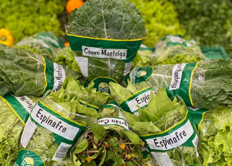Verduras verde-escuras: ricas em nutrientes e antioxidantes, ajudam a prevenir o câncer