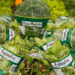 Verduras verde-escuras: ricas em nutrientes e antioxidantes, ajudam a prevenir o câncer