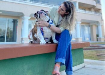 Pets em condomínios: legislação permite que animais vivam em harmonia