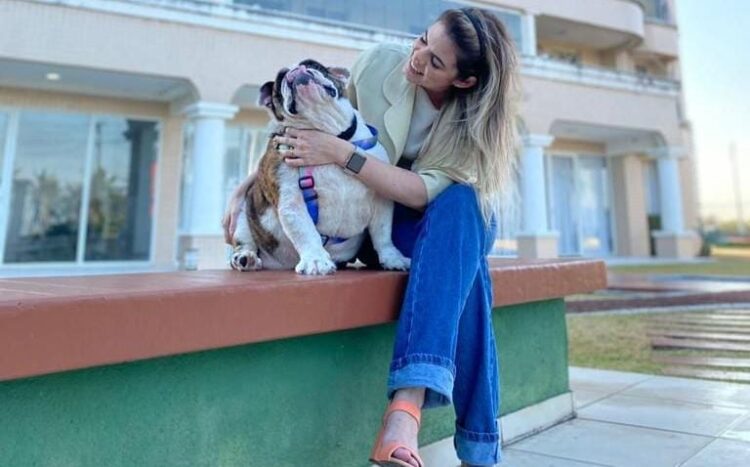 Pets em condomínios: legislação permite que animais vivam em harmonia