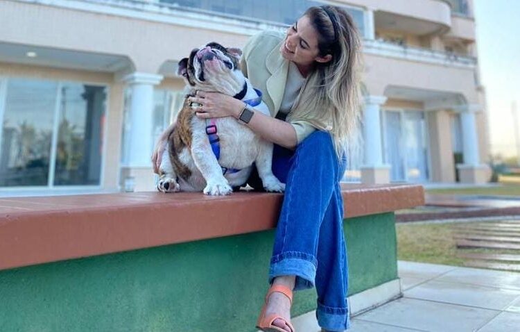 Pets em condomínios: legislação permite que animais vivam em harmonia