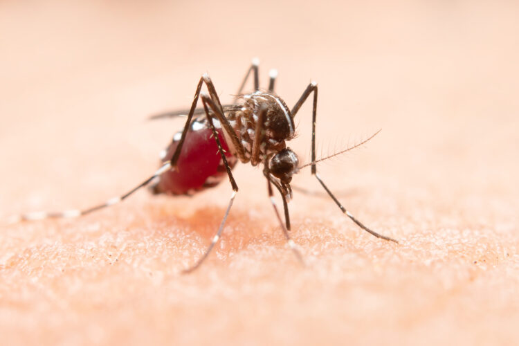 Combate às arboviroses em condomínios ajudam a reduzir a proliferação do mosquito Aedes aegypti