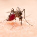 Combate às arboviroses em condomínios ajudam a reduzir a proliferação do mosquito Aedes aegypti