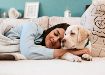 Afinal, faz bem dividir a cama com os pets?