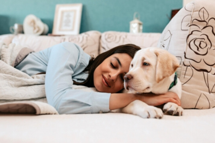 Afinal, faz bem dividir a cama com os pets?
