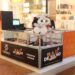 Festival Halleluya inaugura loja com produtos oficiais no Iguatemi Bosque e lança Halleluya card