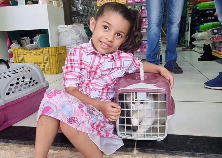 Orientação veterinária gratuita no Conjunto São Cristóvão