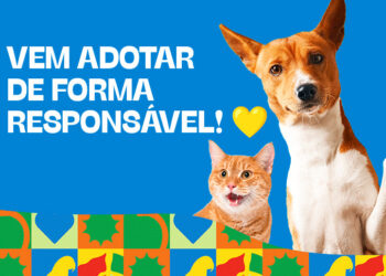 North Shopping Maracanaú tem fim de semana repleto de diversão e atividades para família