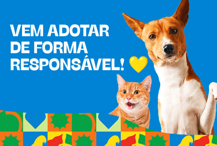 North Shopping Maracanaú tem fim de semana repleto de diversão e atividades para família