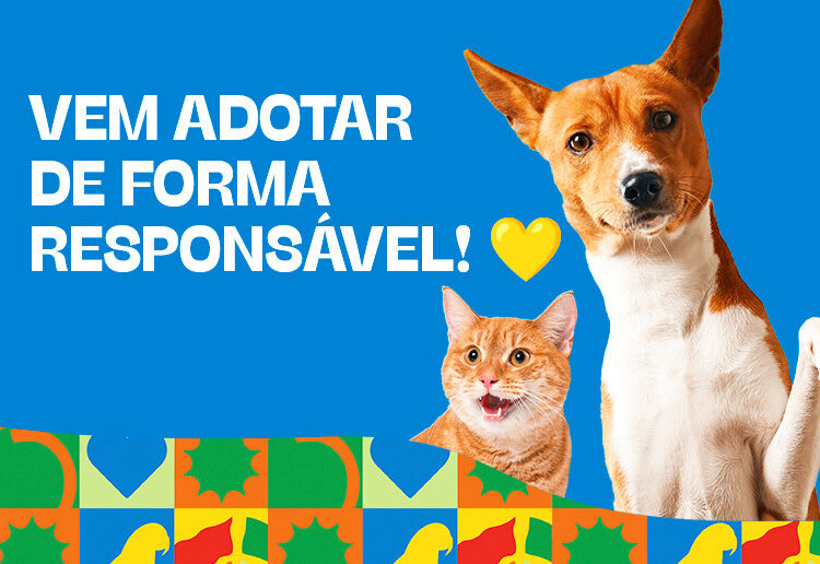 North Shopping Maracanaú tem fim de semana repleto de diversão e atividades para família