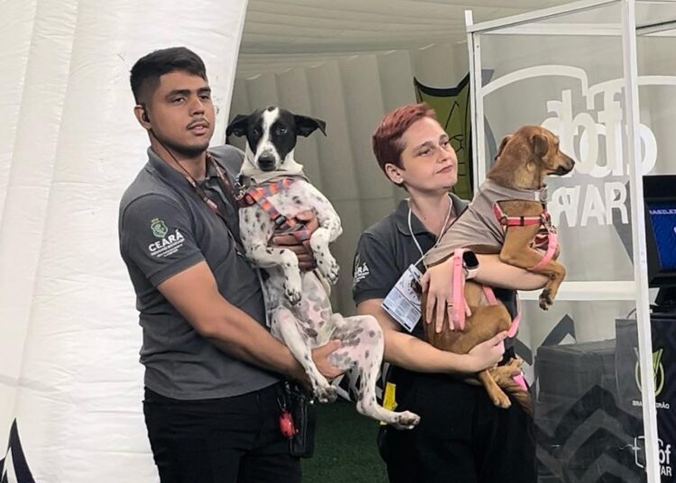 Arena Castelão recebe campanha para incentivar adoção responsável de cães