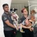 Arena Castelão recebe campanha para incentivar adoção responsável de cães