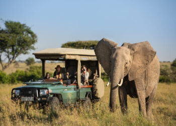 Wee Travel registra crescimento de 63% em 2023 e traz tendências do turismo de experiências e de luxo para 2024