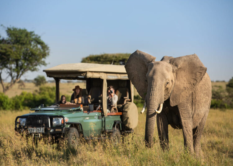 Wee Travel registra crescimento de 63% em 2023 e traz tendências do turismo de experiências e de luxo para 2024