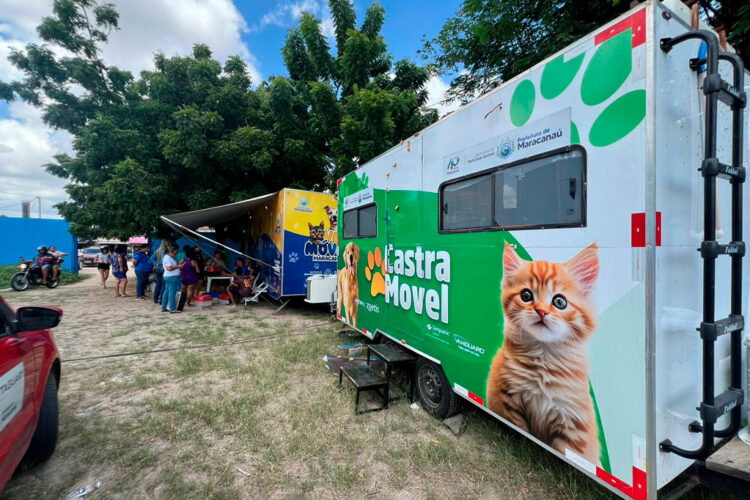Prefeitura realiza mais um Mutirão de Castração de cães e gatos