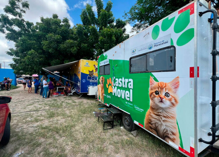 Prefeitura realiza mais um Mutirão de Castração de cães e gatos