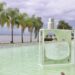 O Boticário reproduz cheiro original da Baía de Guanabara em fragrância que endossa urgência de debates sobre áreas naturais ameaçadas