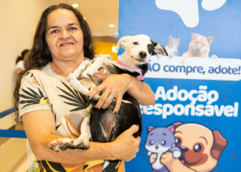 Maracanaú realiza primeiro evento de adoção responsável de 2024: “Pet Day”