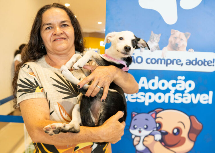 Maracanaú realiza primeiro evento de adoção responsável de 2024: “Pet Day”