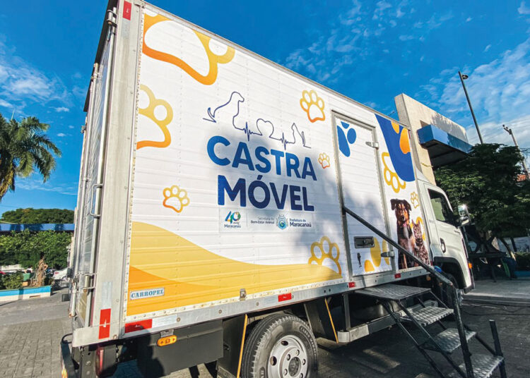Prefeitura realiza mais um “Mutirão de Castração para Cães e Gatos”