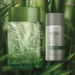 Nova faceta do frescor natural: Arbo Puro traz a harmonia de notas aromáticas, frescor e leveza do acorde bambu