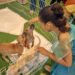 Prefeitura realiza evento de adoção responsável para que animais resgatados encontrem um novo lar