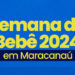 Prefeitura e CMDCA divulgam tema escolhido da Semana do Bebê 2024 em Maracanaú