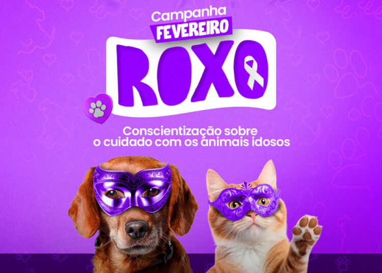 conscientização sobre o cuidado com os animais idosos