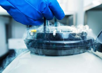 Maternidade no seu tempo: congelamento de óvulos proporciona adiar o sonho da maternidade com mais segurança