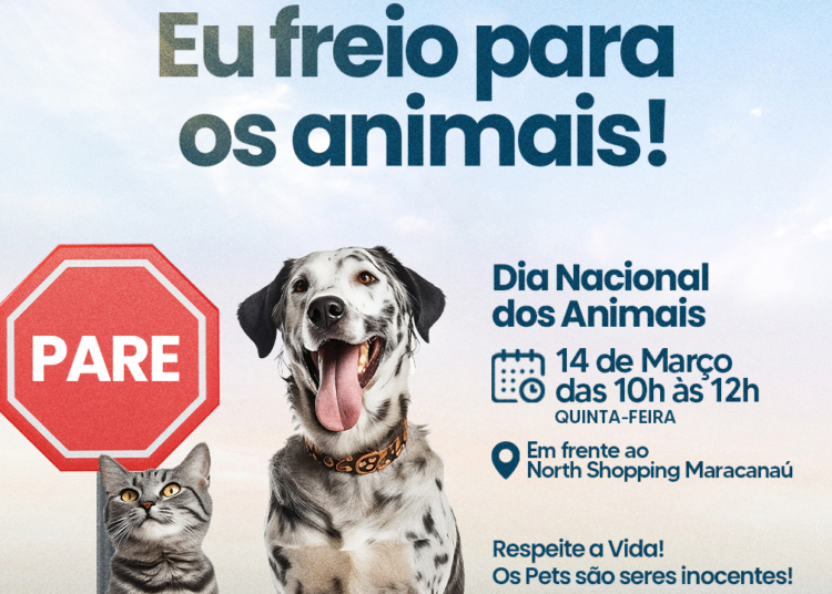 Prefeitura realiza campanha de conscientização contra atropelamento de animais