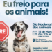 Prefeitura realiza campanha de conscientização contra atropelamento de animais