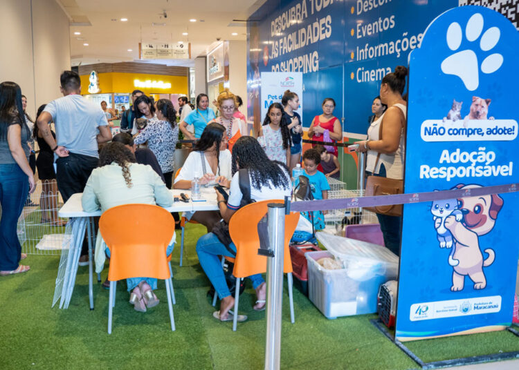 Prefeitura realiza evento de adoção responsável para cães e gatos