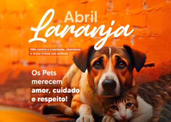 Abril Laranja reforça importância da prevenção contra a crueldade animal