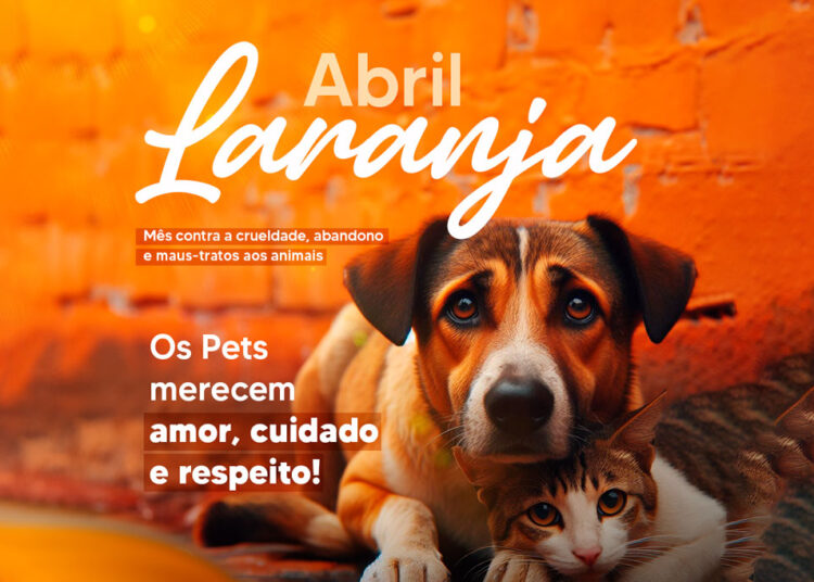 Abril Laranja reforça importância da prevenção contra a crueldade animal