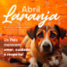 Abril Laranja reforça importância da prevenção contra a crueldade animal