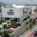Pet Day: North Shopping Maracanaú realiza feira de adoção de animais
