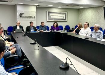 Fecomércio Ceará e Adece discutem modalidades de incentivos em reunião na Câmara Financeira