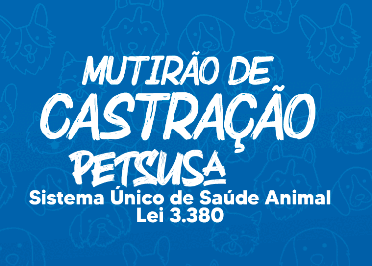 Prefeitura realiza Programa de Castração para Cães e Gatos na Pajuçara
