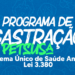 Prefeitura de Maracanaú realiza mais castrações na Pajuçara
