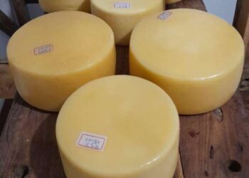15 de julho: Dia Estadual do Queijo Coalho Artesanal