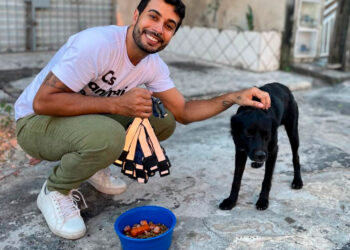 Cães de rua recebem coleiras reflexivas para evitar acidente de trânsito em Fortaleza
