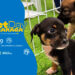 North Shopping Maracanaú realiza Pet Day
