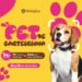 Evento no Shopping Parangaba realiza emissão de RG para pets