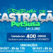 Prefeitura realiza programa de castração gratuita para cães e gatos