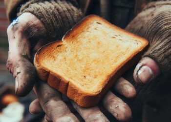Hoje, quarta-feira (16), celebra o Dia mundial da Alimentação