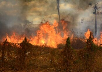 Segundo a Enel, número de queimadas no Ceará cresceu 112% no último mês